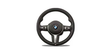 BMW Steering wheel | BMW Showcase 1 in Derwood MD